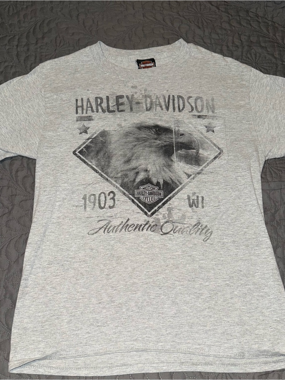 Harley-Davidson Men's Gray Eagle Graphic Tee